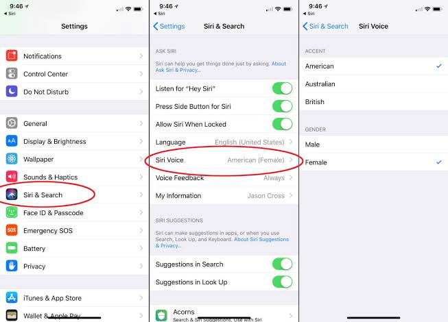 How to change Siri's voice or language 