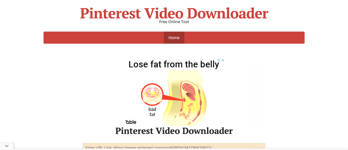 Pinterest Video Downloader