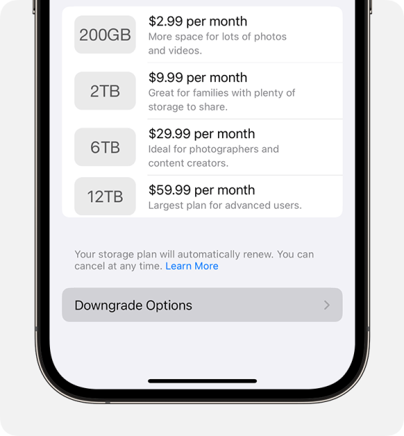 Downgrade Options” for your iCloud+ subscription