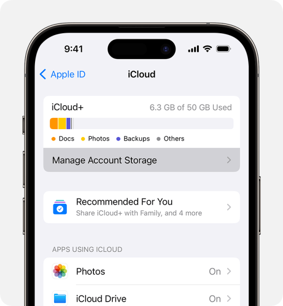  iCloud+ “Manage account storage”