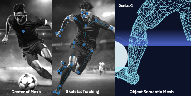 Thousands of points on players' bodies are Dragon's strong points in relation to VAR (Image: Disclosure/Genius Sports)