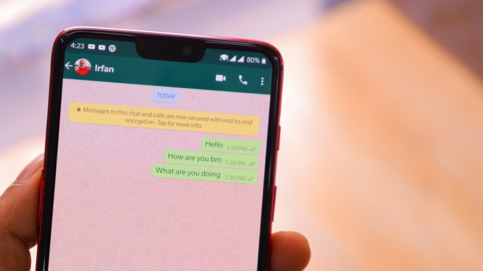 How to hide typing in WhatsApp