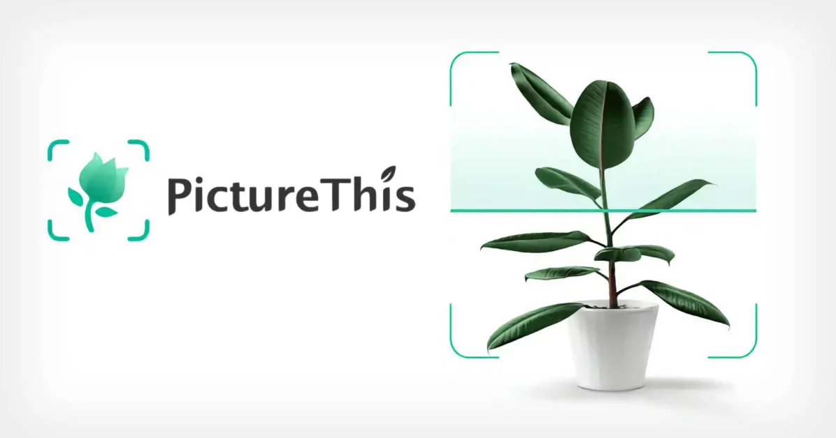 PictureThis - Plant identifier