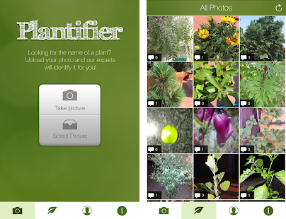 Plantifier