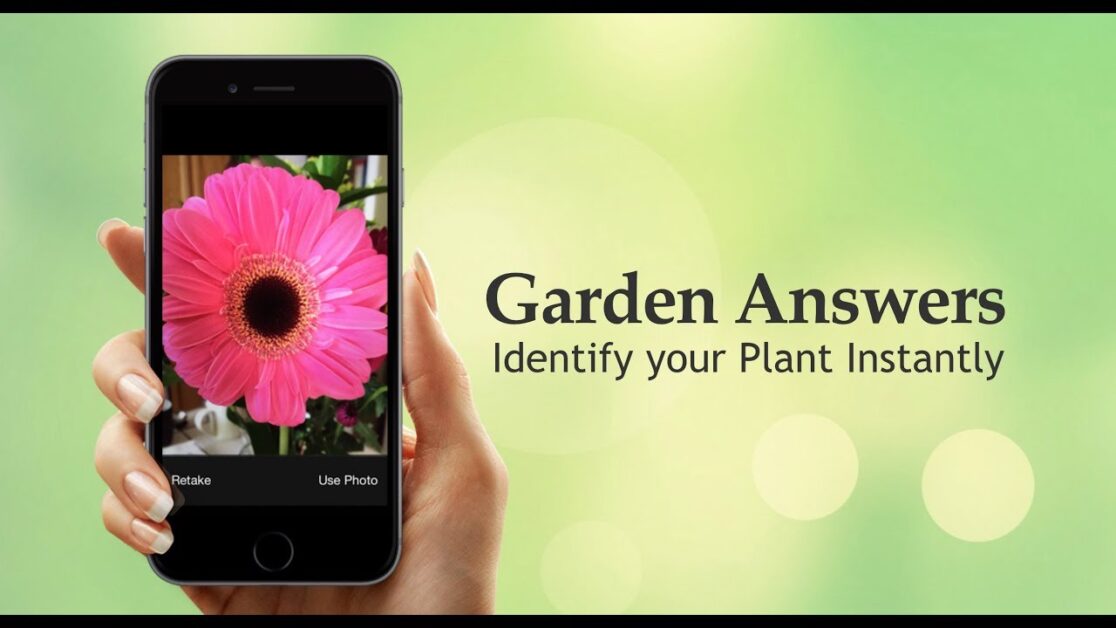 GardenAnswers Plant Identifier