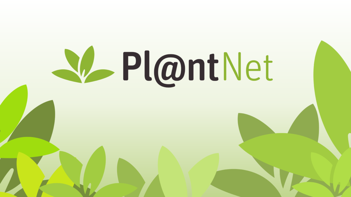 PlantNet: the Shazam for plants