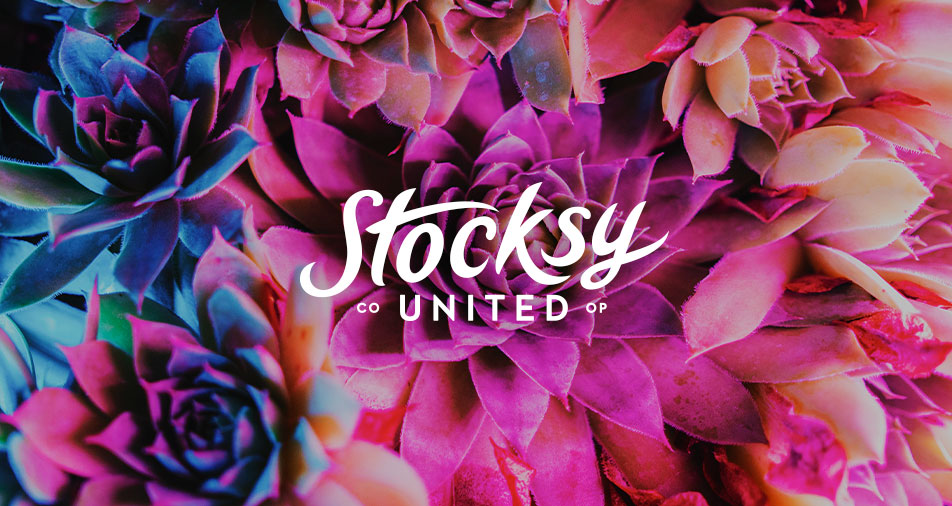Stocksy United