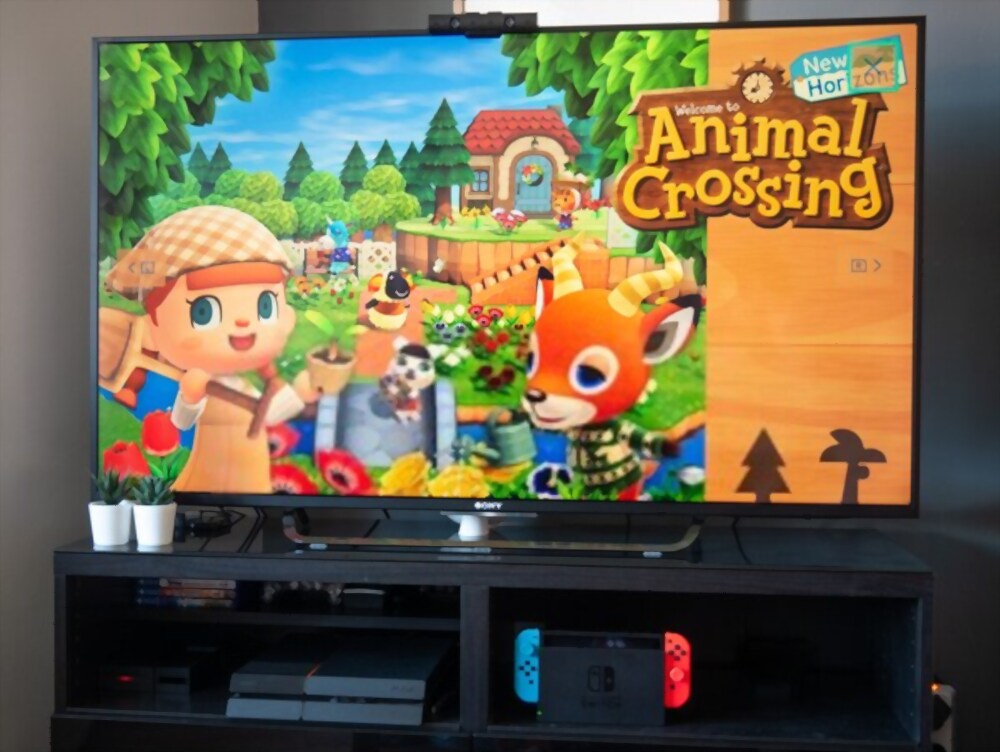 connect the Nintendo Switch to a television