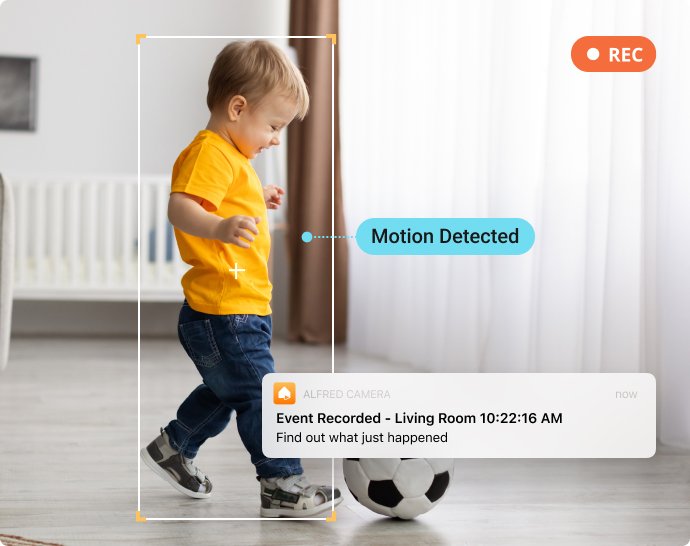 alfred camera motion detection